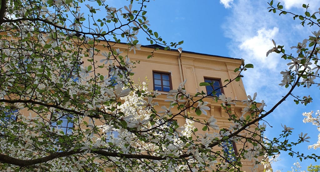 Ansökan gymnasiet